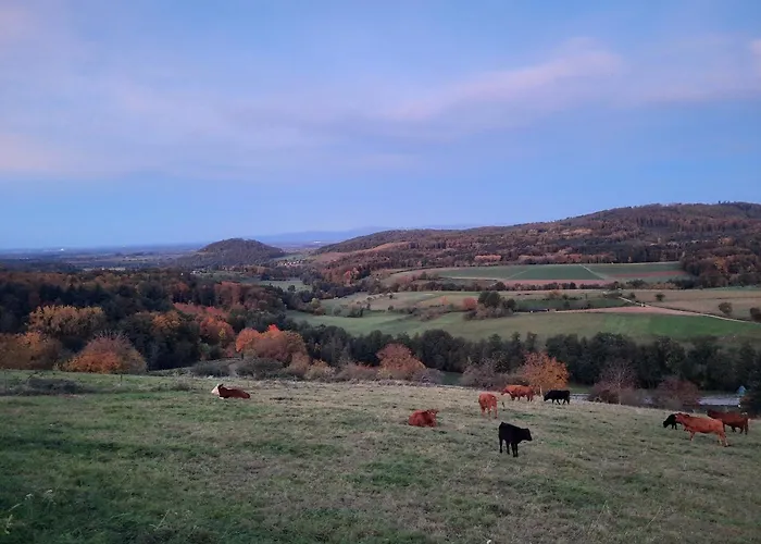 Fernblick Apartament